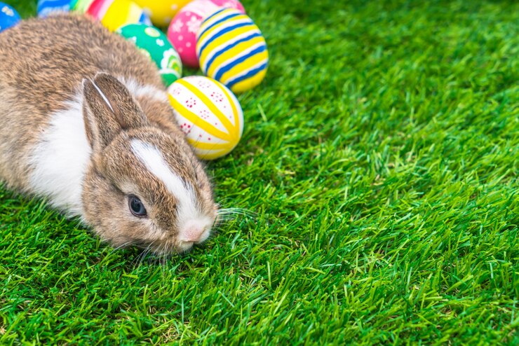 Can Rabbits Eat Squash? (Benefits, Nutritional Facts, Feeding)